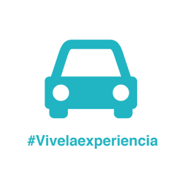 Automotive Consulting